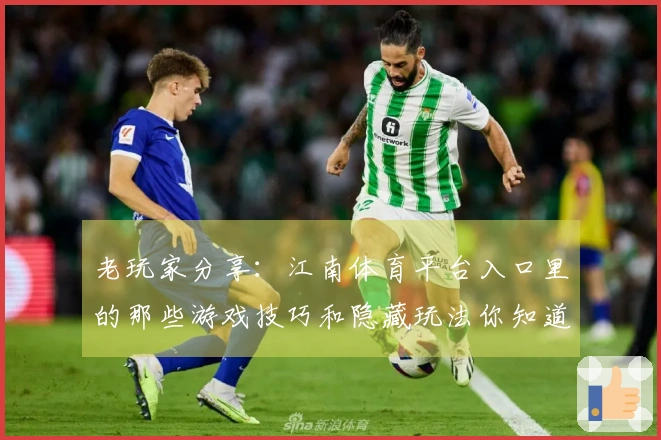 老玩家分享：江南体育平台入口里的那些游戏技巧和隐藏玩法你知道多少？