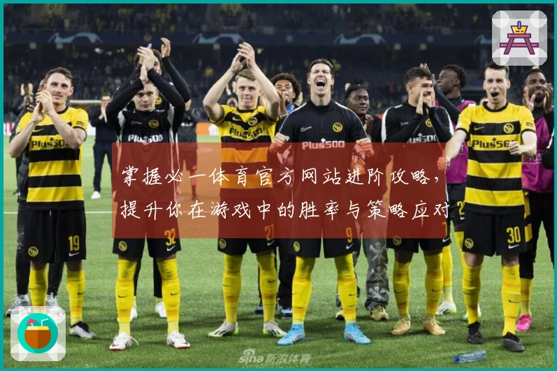 掌握必一体育官方网站进阶攻略，提升你在游戏中的胜率与策略应对能力