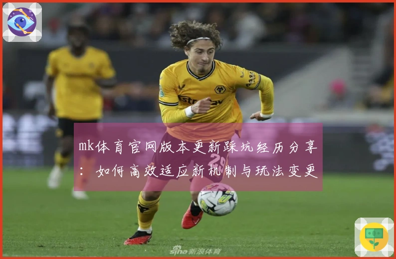 mk体育官网版本更新踩坑经历分享:如何高效适应新机制与玩法变更