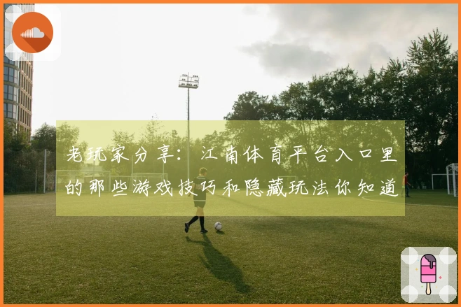 老玩家分享:江南体育平台入口里的那些游戏技巧和隐藏玩法你知道多少?
